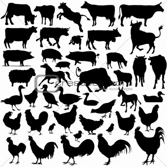Vectoral Farm Animal Silhouettes
