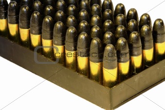 .22 bullets in a tray