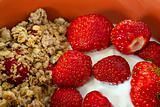 Strawbery yogurt and cereals
