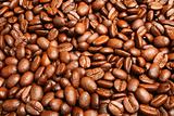background of  coffee beans