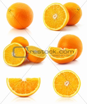 collection citrus orange fruit isolated on white