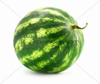ripe fruit water-melon isolated