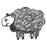Sheep Illustration