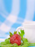 Strawberry and cup on fabric background