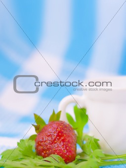 Strawberry and cup on fabric background