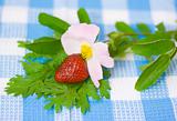 Strawberry and flower on fabric background