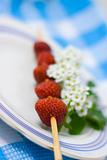 Strawberry barbecue on plate on fabric background
