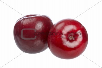 Two fresh plums
