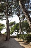 Park with trees in Cannes
