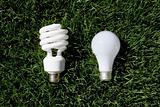 Energy Saving Light Bulb and Incandescent Bulb