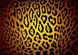 jaguar skin