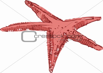 vector starfish