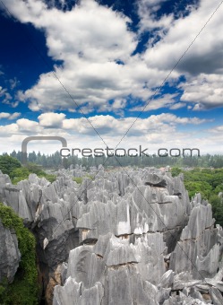 Rock forest near Kunming city