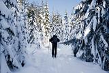 Winter wonder land in Norway