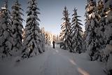 Winter wonder land in Norway