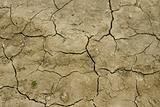 Field after drought