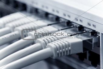 lan cables connected to a switch