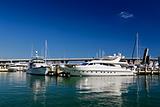 The yachts and boats in Miami harbor