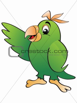 vector isolated parrot