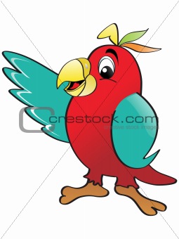 white background with parrot