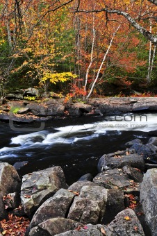 Fall forest and river landscape