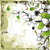 Grunge Floral frame