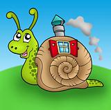Snail with shell house on meadow