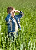 happy young boy looking horizon and dreaming on green field gras