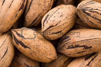 Background of pecan nuts