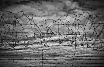 restrictions barbed wire black and white