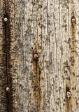 old grungy wood background texture