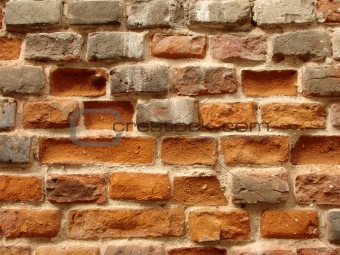 old brickwall 1
