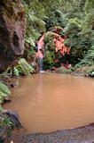 Exotic natural pool in the Azores