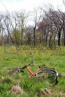 Abandoned bike