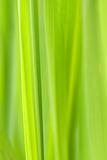 Green vertical abstract