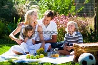 Happy family playing together in a picnic
