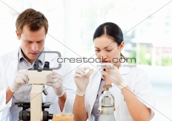 Students of science working in a laboratory