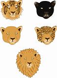 Lion, panther, leopard, tiger and lioness