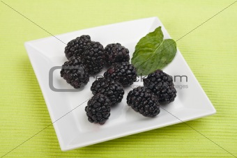blackberries on a white plate with a peppermint leaf