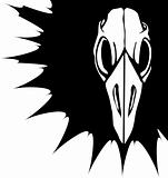 Bird Skull #3