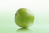 Green apple on white-green background