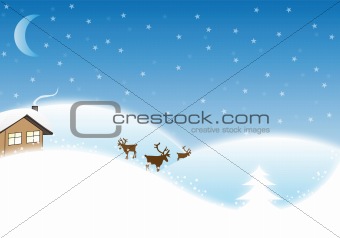 Winter / Christmas Landscape