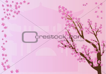 Frame with sakura