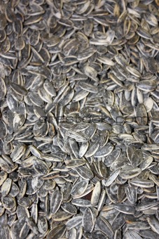 Close-up of pile of sunflower seeds 