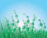 colorful grass background