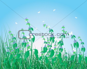 colorful grass background