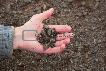 Hand of the farmer holding handful of infertile earth