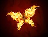 Flying butterfly with fiery wings