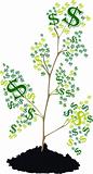 Tree of money, vector