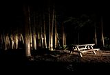 Dark Camp Site with Picnic Table